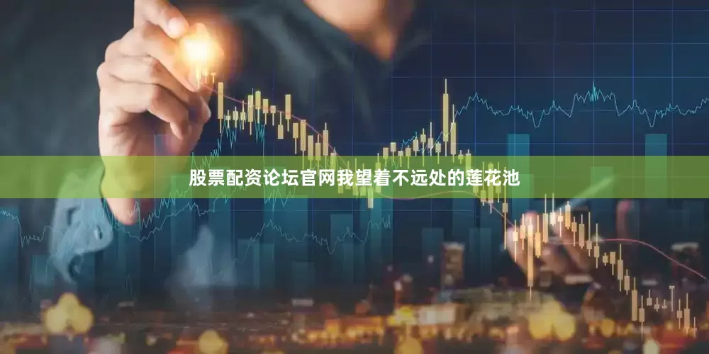 股票配资论坛官网我望着不远处的莲花池