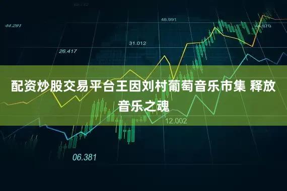 配资炒股交易平台王因刘村葡萄音乐市集 释放音乐之魂