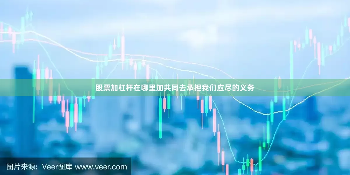 股票加杠杆在哪里加共同去承担我们应尽的义务